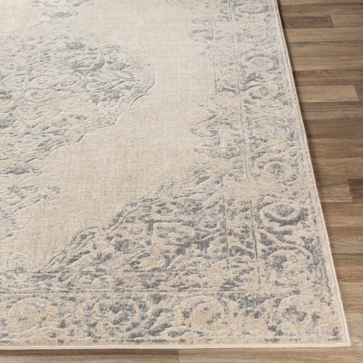 City Cit-2387 Taupe Rug in Various Sizes Online