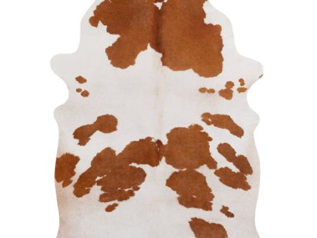 La Pampa Camel Rug 6 3 W x 7 9 L Fashion