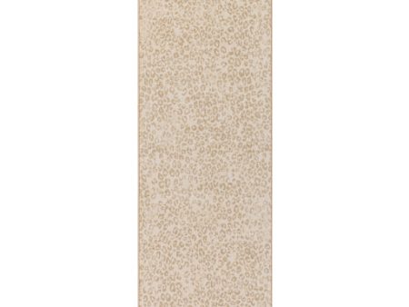 Contempo Cpo-3849 Cream Rug in Various Sizes Supply