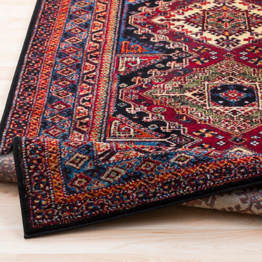 Serapi Rug in Various Sizes For Cheap