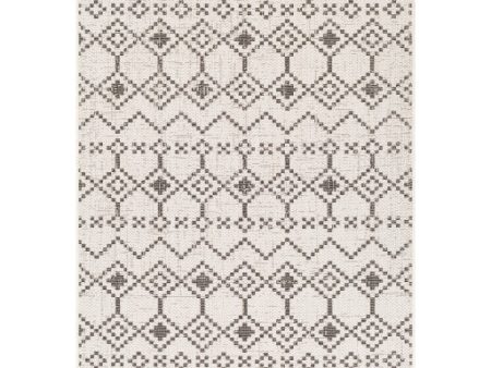 Eagean Indoor Outdoor White Rug in Various Sizes Supply