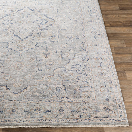 Palazzo Taupe Rug in Various Sizes For Cheap