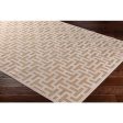 Aesop Asp-2313 Chenille-polyester Beige Rug in Various Sizes Online