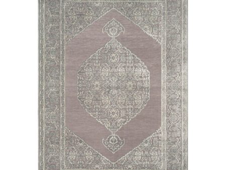 Aesop Asp-2317 Chenille-polyester Medium Gray Rug in Various Sizes Discount