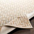 Aesop Asp-2313 Chenille-polyester Beige Rug in Various Sizes Online