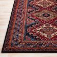 Serapi Rug in Various Sizes For Cheap