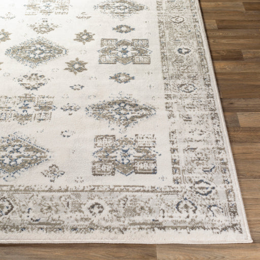 Skagen Skg-2308 Light Gray Rug in Various Sizes Online Sale