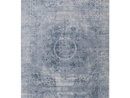 Durham Medium Gray Rug in Various Sizes on Sale