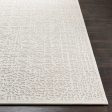 Aesop Asp-2322 Chenille-polyester Beige Rug in Various Sizes For Discount