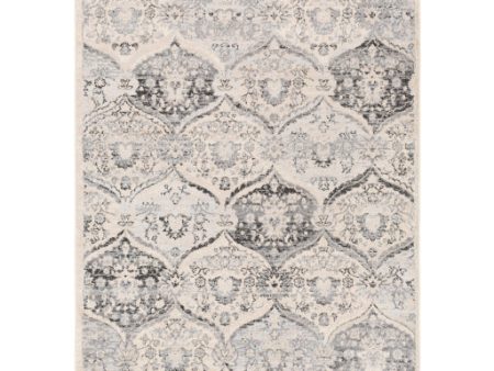 City Light Cyl-2324 Charcoal Rug in Various Sizes Sale