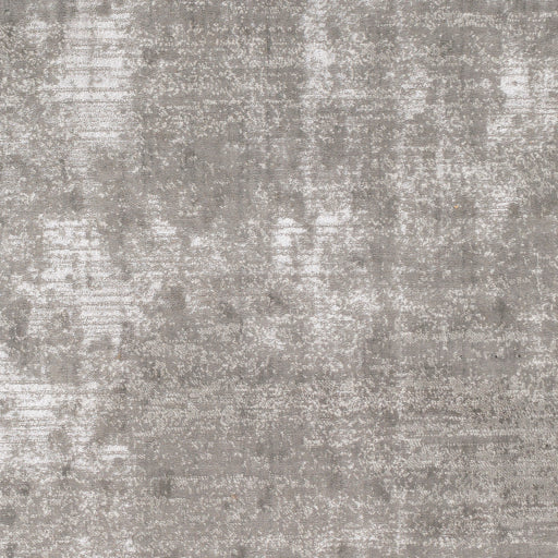 Florence Fro-2315 Medium Gray Rug in Various Sizes For Cheap