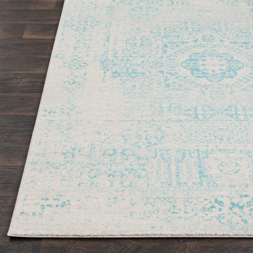 Harput Hap-1026 Teal Rug in Various Sizes Online now