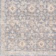 Palazzo Pzl-2303 Navy Rug in Various Sizes on Sale