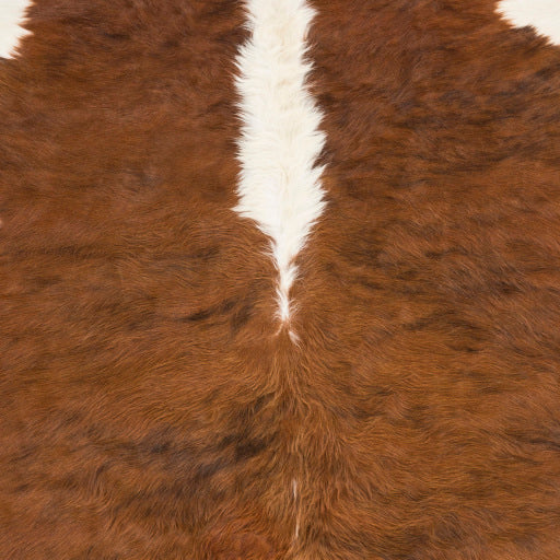 Duke Rug in Various Sizes Online