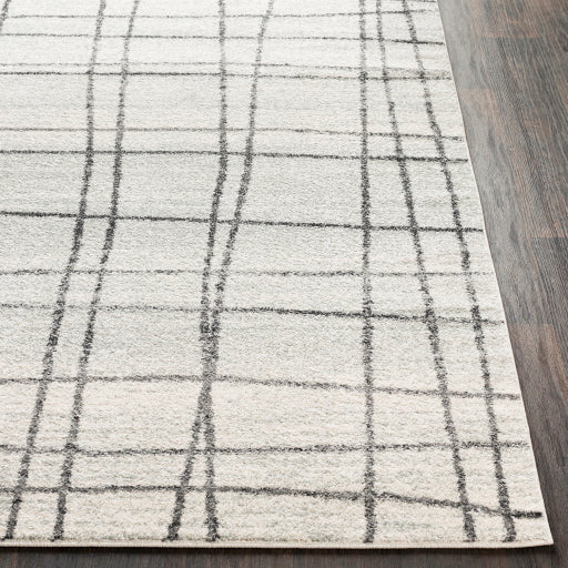 Elaziz Elz-2329 Light Gray Rug in Various Sizes For Sale