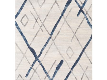 Remy Dark Blue Rug in Various Sizes Online