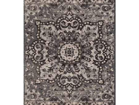 Amsterdam Chenille-polyester Charcoal Rug in Various Sizes Online now