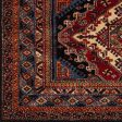 Serapi Rug in Various Sizes For Cheap