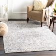 Presidential Pdt-2321 Medium Gray Rug in Various Sizes For Cheap