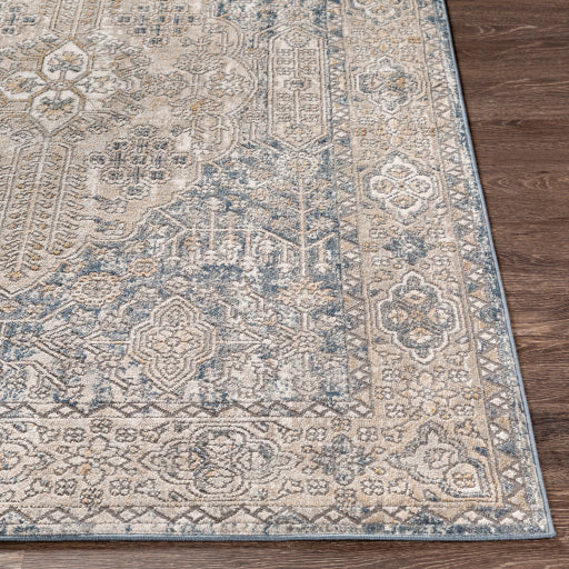 Seattle Light Gray Rug in Various Sizes Sale