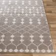 Rafetus Ets-2355 Light Gray Rug in Various Sizes Online