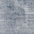 Durham Medium Gray Rug in Various Sizes on Sale