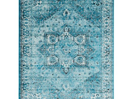 Mumbai Mum-2309 Aqua Rug in Various Sizes Supply