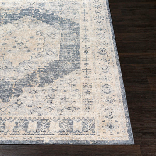 Durham Dur-1015 Taupe Rug in Various Sizes Sale