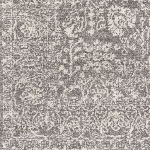 Harput Hap-1029 Charcoal Rug in Various Sizes Supply