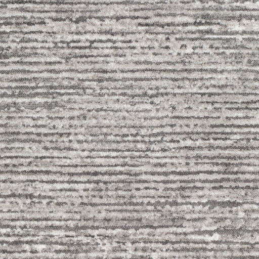 Monte Carlo Mnc-2308 Light Gray Rug in Various Sizes For Discount