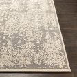 Aesop Chenille-polyester Medium Gray Rug in Various Sizes Online