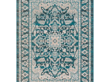 Rafetus Ets-2345 Teal Rug in Various Sizes Online Sale