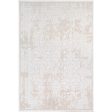 Aesop Asp-2310 Chenille-polyester Beige Rug in Various Sizes Supply