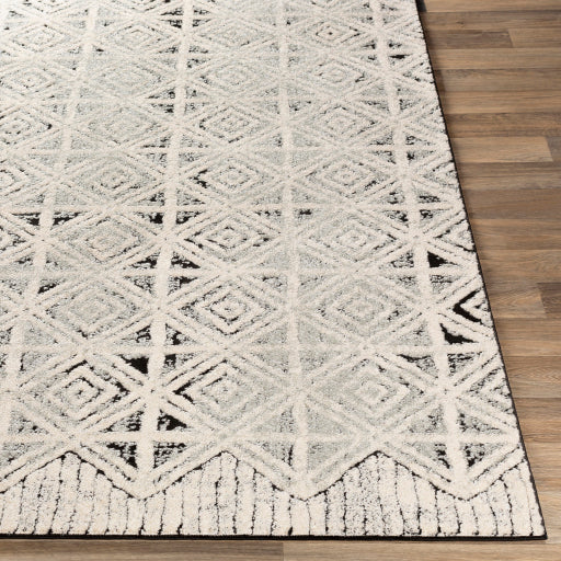 Dersim Light Gray Rug in Various Sizes Supply