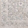 Palazzo Taupe Rug in Various Sizes For Cheap