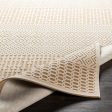 Aesop Chenille-polyester Khaki Rug in Various Sizes Supply