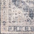 Durham Dur-1015 Taupe Rug in Various Sizes Sale