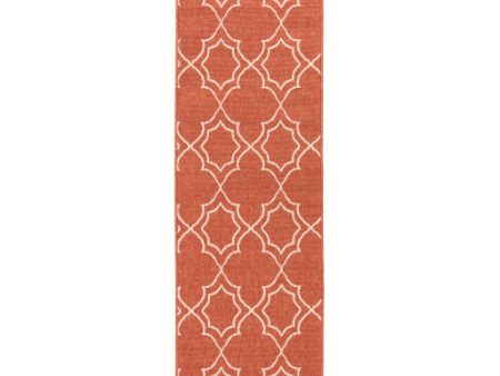 Alfresco Indoor Outdoor Olefin Rust Rug in Various Sizes on Sale