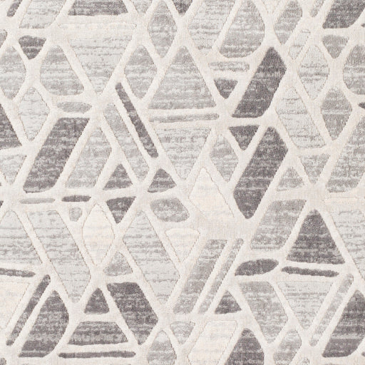 Remy Rmy-2309 Light Gray Rug in Various Sizes Online Hot Sale