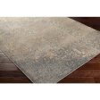 Paramount Par-1074 Medium Gray Rug in Various Sizes For Discount