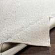 Aesop Asp-2310 Chenille-polyester Beige Rug in Various Sizes Supply