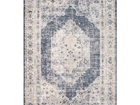 Durham Dur-1015 Taupe Rug in Various Sizes Sale