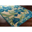 Portera Indoor Outdoor Teal Rug in Various Sizes Cheap