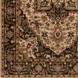 Riley Rly-5038 Dark Brown Rug in Various Sizes Fashion