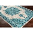 Paramount Aqua Rug in Various Sizes Fashion