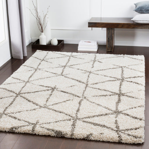 Serengeti Shag Sgt-2310 Taupe Rug in Various Sizes Discount