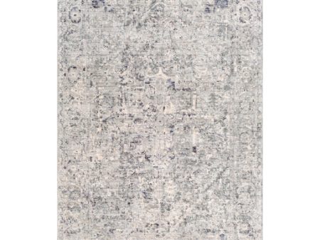 Presidential Pdt-2321 Medium Gray Rug in Various Sizes For Cheap