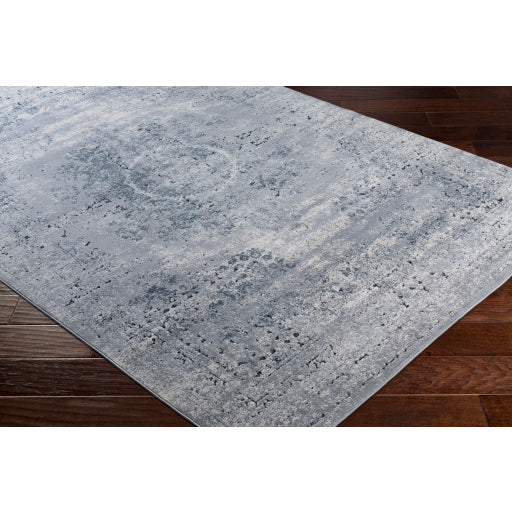 Durham Medium Gray Rug in Various Sizes on Sale