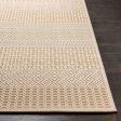 Aesop Chenille-polyester Khaki Rug in Various Sizes Supply