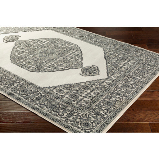 Aesop Asp-2318 Chenille-polyester Sea Foam Rug in Various Sizes Online Hot Sale